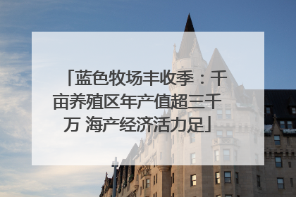 蓝色牧场丰收季：千亩养殖区年产值超三千万 海产经济活力足