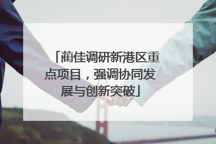 蔺佳调研新港区重点项目，强调协同发展与创新突破