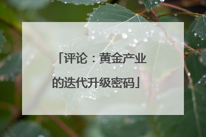 评论：黄金产业的迭代升级密码