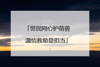 警民同心护萌兽 温情救助显担当