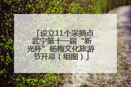 设立11个采摘点 武宁第十一届“新光杯”杨梅文化旅游节开幕（组图）