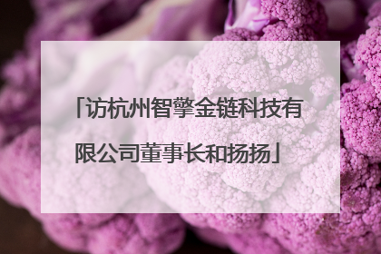 访杭州智擎金链科技有限公司董事长和扬扬