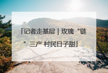 记者走基层｜玫瑰“链”三产 村民日子甜