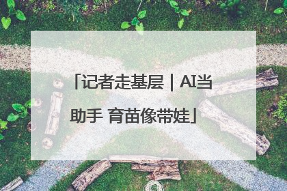 记者走基层｜AI当助手 育苗像带娃