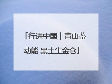 行进中国｜青山蓄动能 黑土生金仓