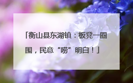 衡山县东湖镇：板凳一圈围，民意“唠”明白！
