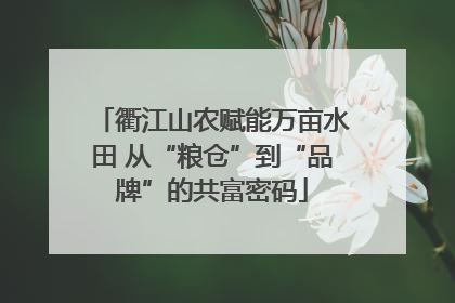 衢江山农赋能万亩水田 从“粮仓”到“品牌”的共富密码