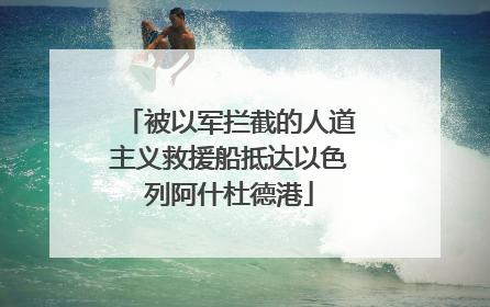 被以军拦截的人道主义救援船抵达以色列阿什杜德港