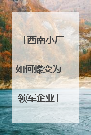 西南小厂如何蝶变为领军企业