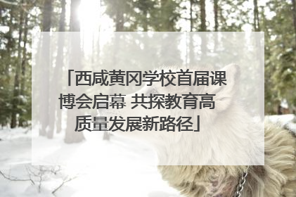 西咸黄冈学校首届课博会启幕 共探教育高质量发展新路径