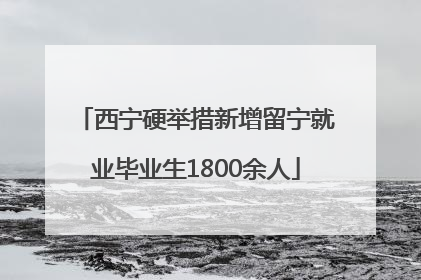 西宁硬举措新增留宁就业毕业生1800余人