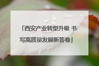 西安产业转型升级 书写高质量发展新答卷
