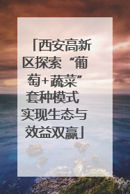 西安高新区探索“葡萄+蔬菜”套种模式 实现生态与效益双赢