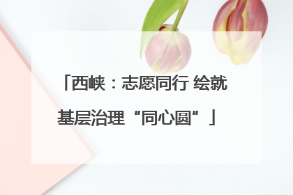 西峡：志愿同行 绘就基层治理“同心圆”