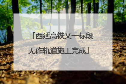 西延高铁又一标段无砟轨道施工完成