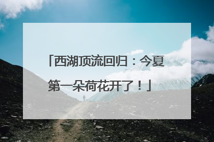 西湖顶流回归：今夏第一朵荷花开了！