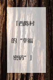 西陈村的“幸福密码”