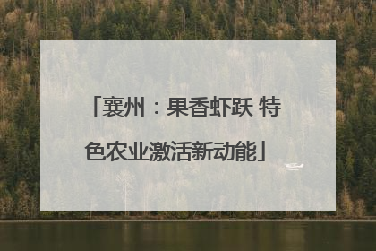 襄州：果香虾跃 特色农业激活新动能