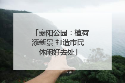 襄阳公园：植荷添新景 打造市民休闲好去处