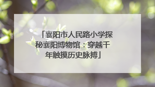 襄阳市人民路小学探秘襄阳博物馆：穿越千年触摸历史脉搏