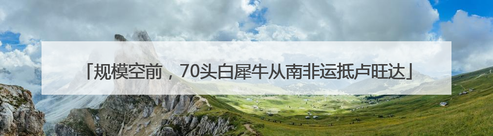 规模空前，70头白犀牛从南非运抵卢旺达
