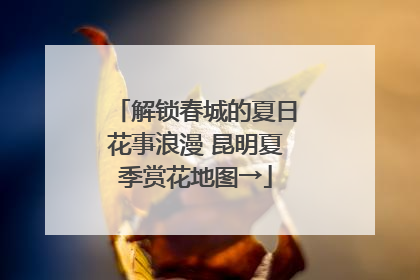 解锁春城的夏日花事浪漫 昆明夏季赏花地图→