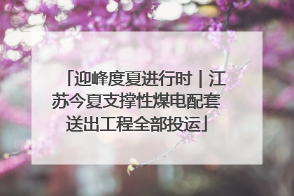 迎峰度夏进行时｜江苏今夏支撑性煤电配套送出工程全部投运
