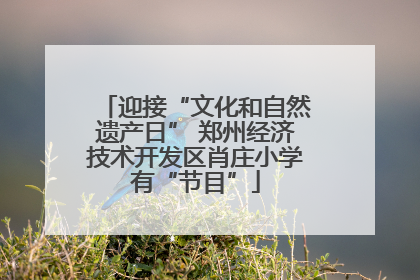 迎接“文化和自然遗产日” 郑州经济技术开发区肖庄小学有“节目”