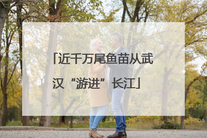 近千万尾鱼苗从武汉“游进”长江