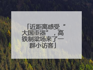 近距离感受“大国重器”，高铁制梁场来了一群小访客
