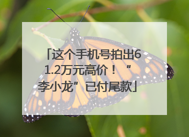 这个手机号拍出61.2万元高价！“李小龙”已付尾款