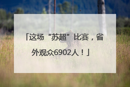 这场“苏超”比赛，省外观众6902人！