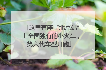 这里有座“北京站”！全国独有的小火车，第六代车型开跑