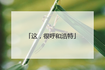 这，很呼和浩特