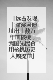 远古发现｜濛溪河遗址出土数万年前核桃，我国先民食用核桃历史大幅提前