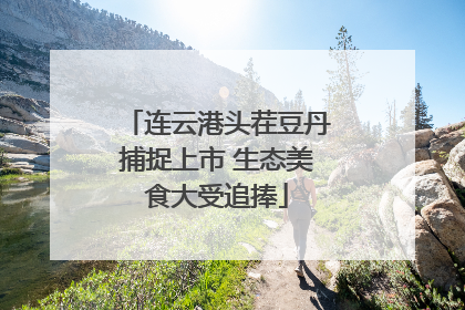 连云港头茬豆丹捕捉上市 生态美食大受追捧
