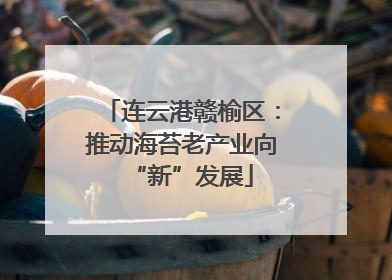 连云港赣榆区：推动海苔老产业向“新”发展