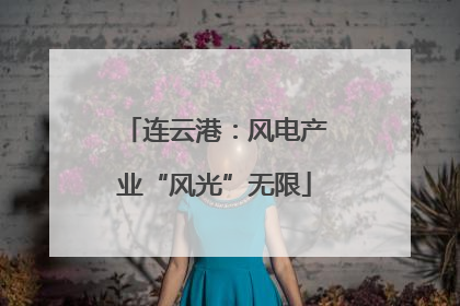 连云港：风电产业“风光”无限