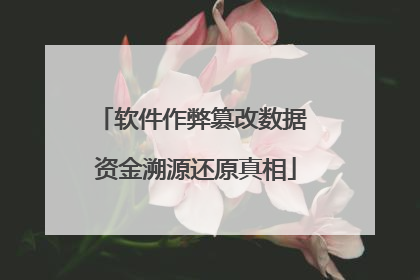 软件作弊篡改数据 资金溯源还原真相