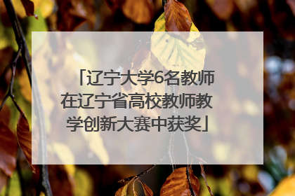 辽宁大学6名教师在辽宁省高校教师教学创新大赛中获奖