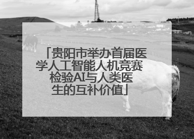 贵阳市举办首届医学人工智能人机竞赛 检验AI与人类医生的互补价值