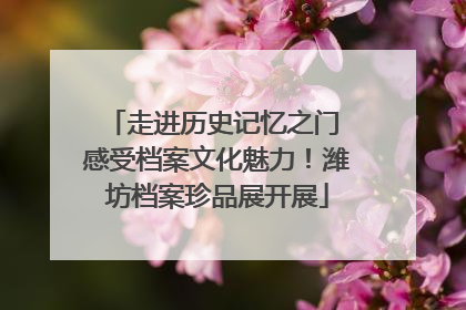 走进历史记忆之门 感受档案文化魅力！潍坊档案珍品展开展