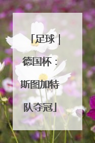 足球｜德国杯：斯图加特队夺冠
