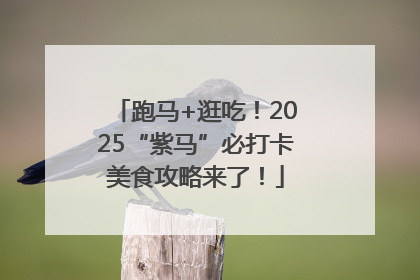 跑马+逛吃！2025“紫马”必打卡美食攻略来了！