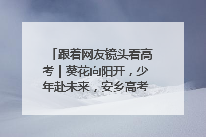 跟着网友镜头看高考｜葵花向阳开，少年赴未来，安乡高考首日的希望图景