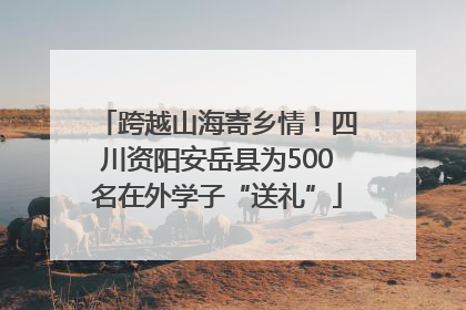 跨越山海寄乡情！四川资阳安岳县为500名在外学子“送礼”