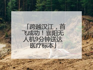 跨越汉江，首飞成功！襄阳无人机9分钟送达医疗标本