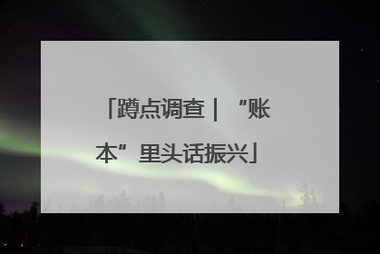 蹲点调查｜“账本”里头话振兴
