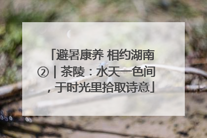 避暑康养 相约湖南②｜茶陵：水天一色间，于时光里拾取诗意
