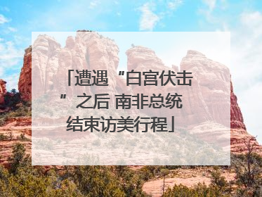 遭遇“白宫伏击”之后 南非总统结束访美行程